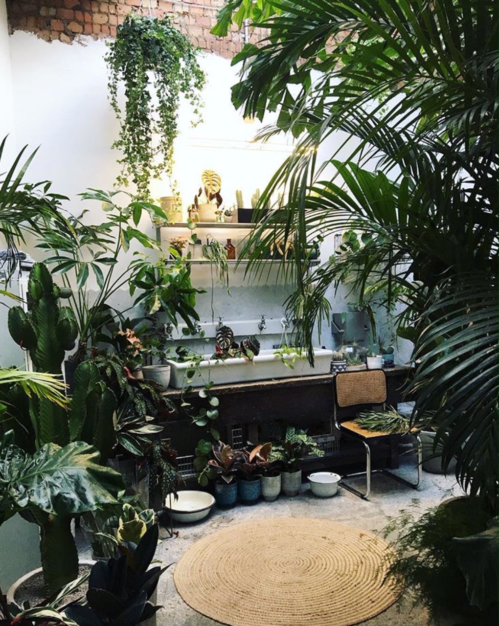 Conservatory Archives plant emporium in East London